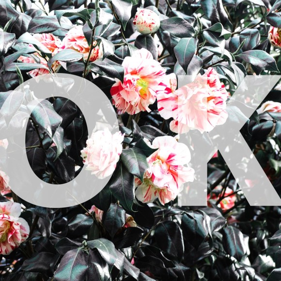 Meet your Posher, Kay - Picture 1 of 1